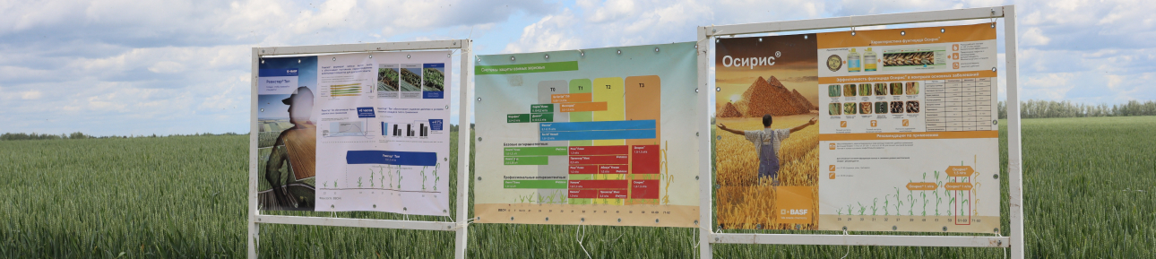 Баннеры, широкоформатная печать